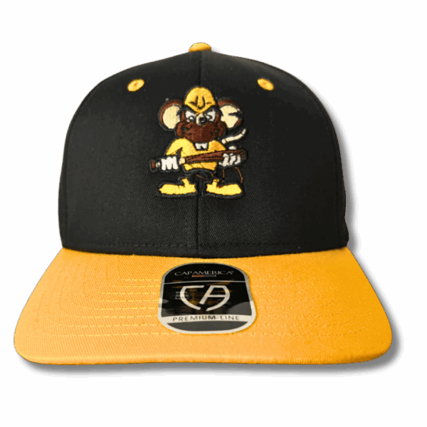 Youth Milton Snap Back Hat